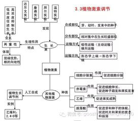 高二生物必修三基礎(chǔ)知識(shí)過(guò)關(guān)檢測(cè)