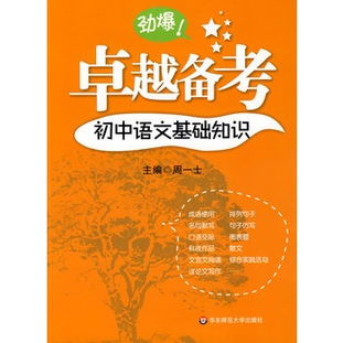 初中語文基礎(chǔ)知識考不了優(yōu)秀