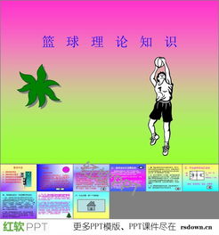 籃球基礎(chǔ)知識(shí)ppt設(shè)計(jì)