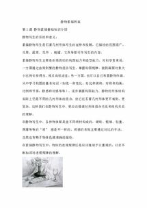 素描基礎入門教案,幼兒素描基礎教案,素描基礎課程教案