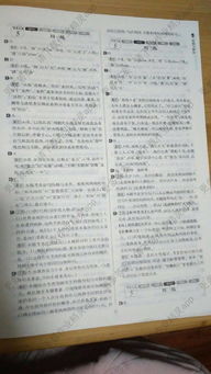 基礎(chǔ)知識(shí),語(yǔ)文,答案