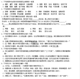 高考語文基礎(chǔ)知識訓(xùn)練營