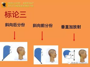 燙發(fā)原理基礎(chǔ)知識,剪發(fā)理論基礎(chǔ)知識,汽車原理基礎(chǔ)知識