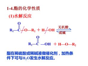 上海高二有機(jī)化學(xué)基礎(chǔ)知識
