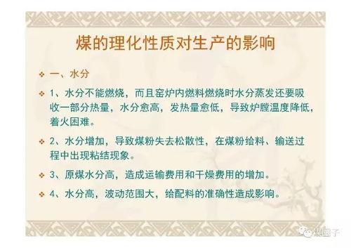 煤質,幻燈片,基礎知識