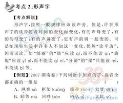 字音字形基礎(chǔ)知識