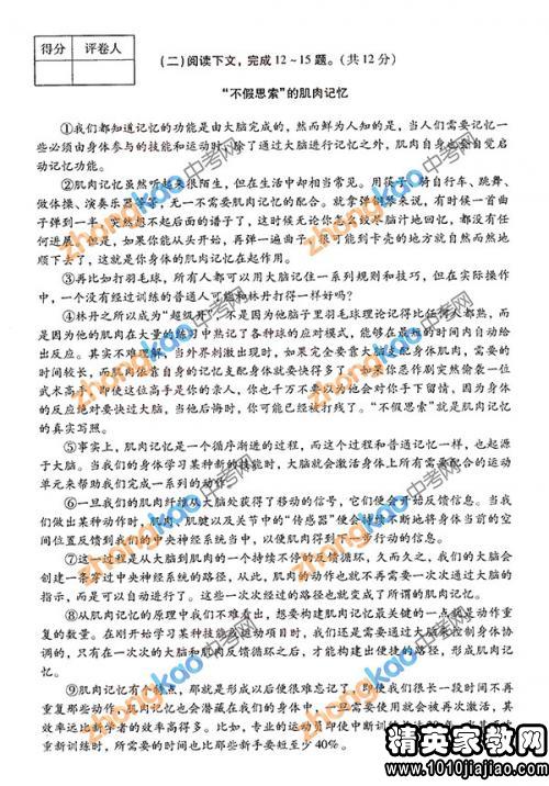 中考語(yǔ)文基礎(chǔ)知識(shí)匯總,中考語(yǔ)文基礎(chǔ)知識(shí)強(qiáng)化訓(xùn)練,中考語(yǔ)文基礎(chǔ)知識(shí)整理