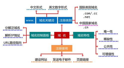 初中網(wǎng)絡(luò)基礎(chǔ)知識(shí)