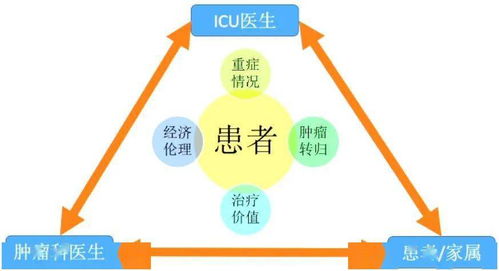 大夫,基礎(chǔ)知識(shí),懂得,icu