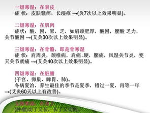 中藥基礎(chǔ)知識(shí)培訓(xùn)課件