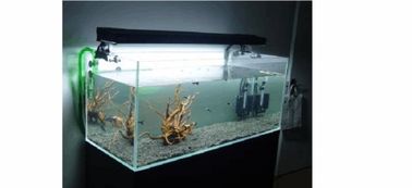 魚缸基礎知識