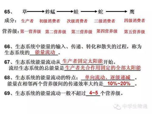 高中生物必修基礎(chǔ)知識檢查清單6