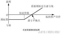 期權,基礎知識,入門,交易