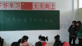 少先隊(duì)員基礎(chǔ)知識四