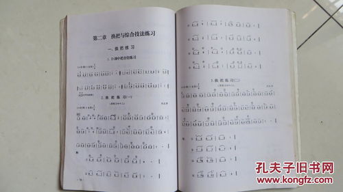二胡基礎知識教學