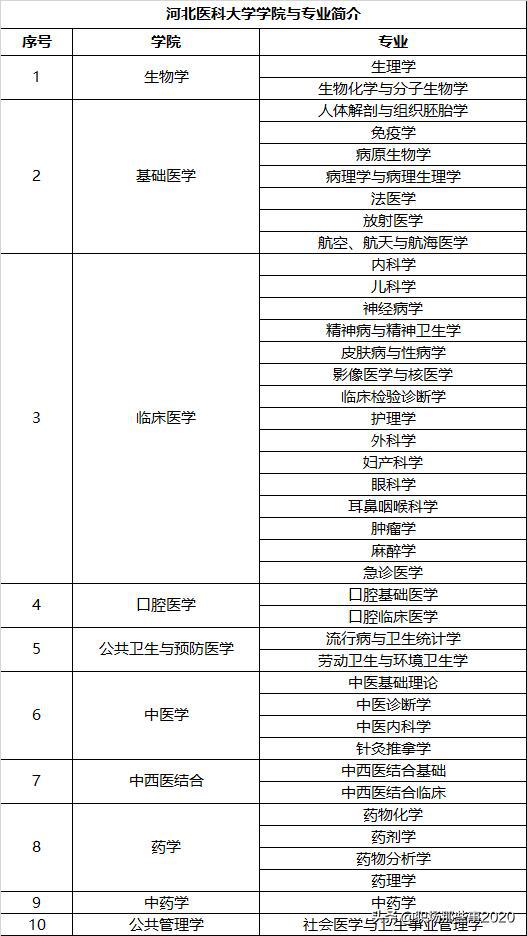 大學時期應掌握的基礎知識