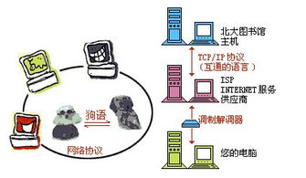 網(wǎng)絡(luò)基礎(chǔ)知識需要掌握什么協(xié)議