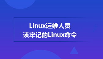 基礎(chǔ)知識,linux