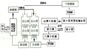 如何牢固基礎(chǔ)知識(shí)