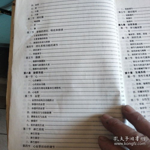 正常人人體基礎(chǔ)知識(shí)點(diǎn)