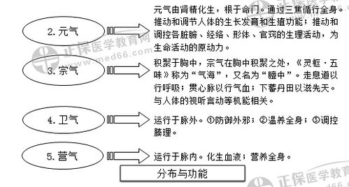專業(yè)基礎(chǔ)理論和基本知識(shí)水平