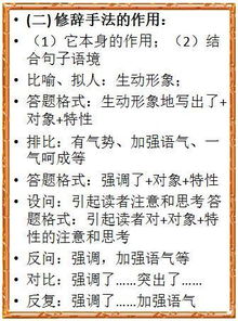 基礎(chǔ)知識語文怎樣學(xué)好