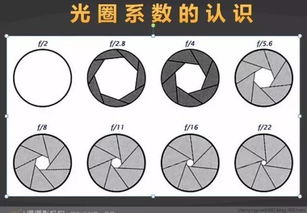 單反攝影入門基礎(chǔ)知識(shí),單反使用基礎(chǔ)知識(shí),單反入門基礎(chǔ)知識(shí)
