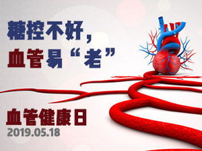 心血管基礎(chǔ)知識(shí)音頻