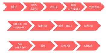 粳米基礎(chǔ)知識(shí)講座