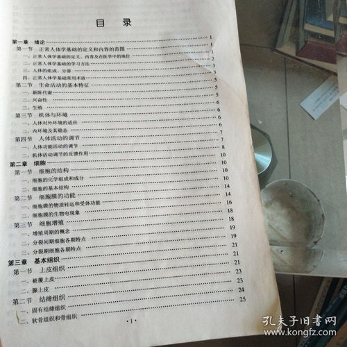 知識點,人體,基礎