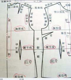 縫衣服基礎(chǔ)知識(shí)