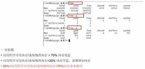 保育員基礎(chǔ)知識100題,少先隊(duì)基礎(chǔ)知識100題,眼科基礎(chǔ)知識100題