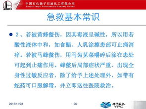 臨床急救基礎(chǔ)知識(shí)