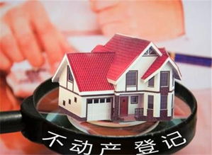 《不動產(chǎn)登記基礎(chǔ)知識》