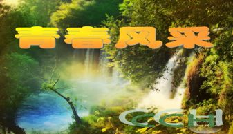 基礎(chǔ)知識,搭配,色彩,服裝