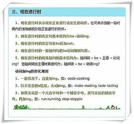 小學(xué)英語課程與教學(xué)論題庫,小學(xué)英語教育理論基礎(chǔ)知識,小學(xué)英語基礎(chǔ)知識總結(jié)