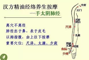 什么叫中醫(yī)基礎知識