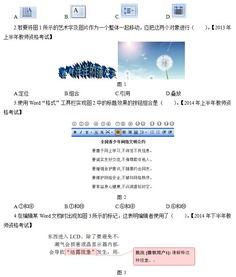 初中信息技術(shù)專業(yè)基礎(chǔ)知識(shí)