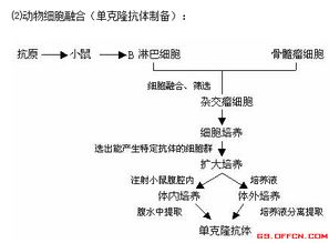 歸納,基礎知識,重點