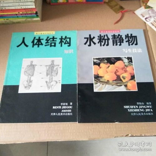 美術(shù)基礎(chǔ)知識(shí)書(shū)
