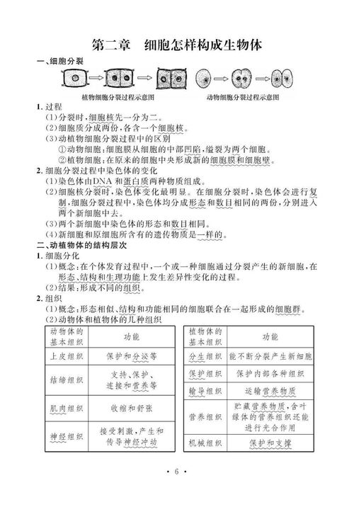 生物基礎(chǔ)知識點(diǎn)初中