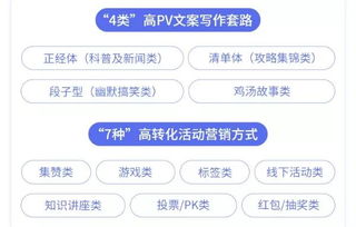 新媒體基礎(chǔ)知識哪里有