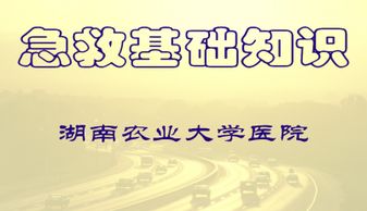 急救護(hù)理基礎(chǔ)知識匯總