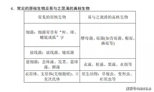 細(xì)胞的生活基礎(chǔ)知識反饋