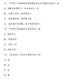 基礎(chǔ)知識(shí),語(yǔ)文,提升,教學(xué)