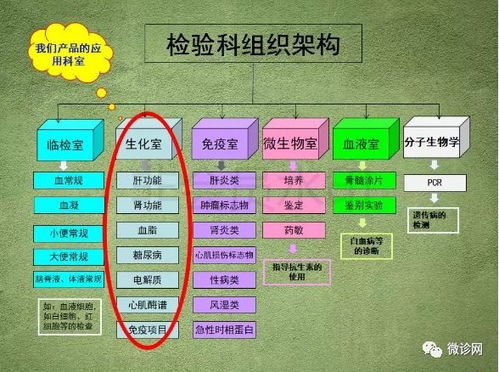 檢驗科基本基礎(chǔ)知識