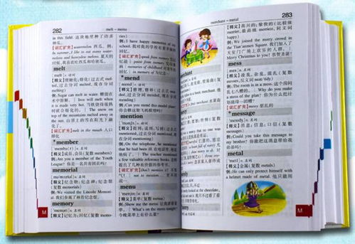 小學(xué)語數(shù)英基礎(chǔ)知識