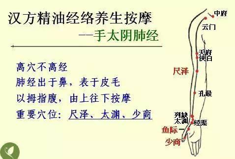中醫(yī)基礎知識風