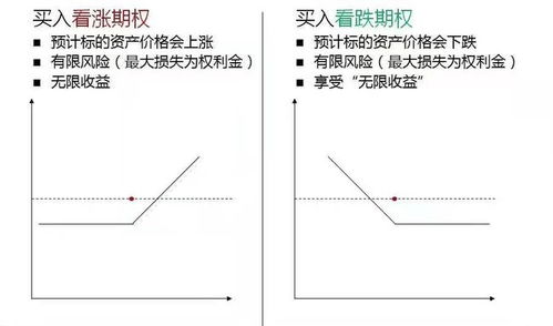 商品期權(quán)基礎(chǔ)知識答案