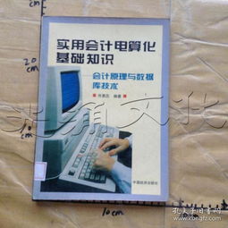 會(huì)計(jì)電算化基礎(chǔ)理論知識(shí)和專業(yè)技能